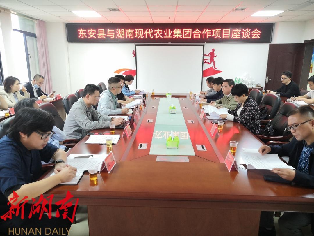 省现代农业产业控股集团深入东安调研农业土地整理服务