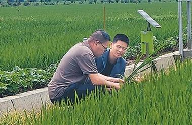 戴宏扎根乡土种好“智慧田” 让土地产好粮，让农业土地整理服务提质增效